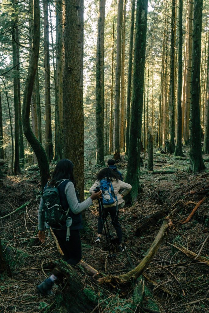 642227424b30ffc17b742353_pexels-pnw-production-7625304-scaled.jpg